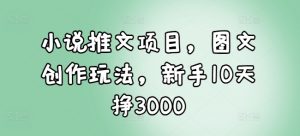 小说推文项目，图文创作玩法，新手10天挣3000-E网资源