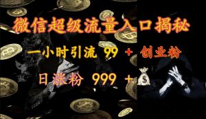 微信超级流量入口揭秘：一小时引流 99 + 创业粉，日涨粉 999 +-E网资源