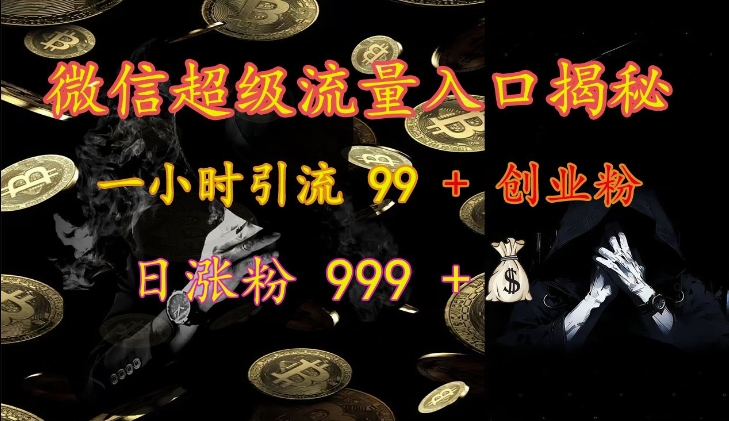 微信超级流量入口揭秘：一小时引流 99 + 创业粉，日涨粉 999 +-E网资源