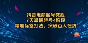 抖音电商起号教程，7天掌握起号4阶段，精准标签打法，突破百人在线-E网资源