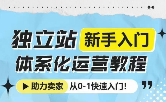 独立站新手入门体系化运营教程，助力独立站卖家从0-1快速入门!-E网资源