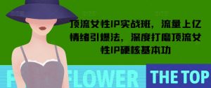 顶流女性IP实战班，流量上亿情绪引爆法，深度打磨顶流女性IP硬核基本功-E网资源
