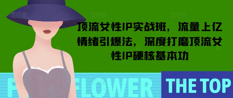 顶流女性IP实战班，流量上亿情绪引爆法，深度打磨顶流女性IP硬核基本功-E网资源