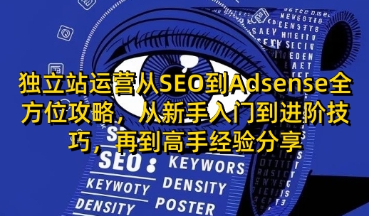 独立站运营从SEO到Adsense全方位攻略，从新手入门到进阶技巧，再到高手经验分享-E网资源