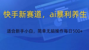 快手新赛道，ai暴利养生，0基础的小白也可以操作轻松日入500+-E网资源