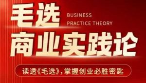 毛选商业实践论，读透《毛选》掌握创业必胜密匙-E网资源