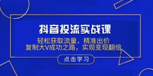 抖音投流实战课，轻松获取流量，精准出价，复制大V成功之路，实现变现翻倍-E网资源