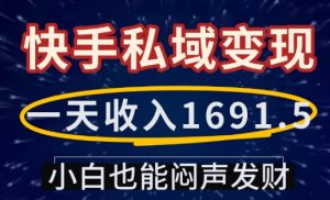 一天收入1691.5，快手私域变现，小白也能闷声发财-E网资源