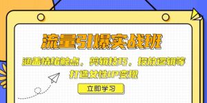 流量引爆实战班，涵盖情绪触点，剪辑技巧，投放逻辑等，打造女性IP变现-E网资源