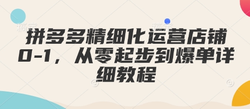拼多多精细化运营店铺0-1，从零起步到爆单详细教程-E网资源