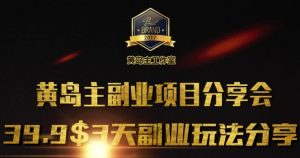 黄岛主副业分享会1期：3天3个副业玩法，速度上车-E网资源