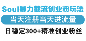 Soul暴力截流创业粉玩法，当天注册当天进流量，日稳定300+精准创业粉丝-E网资源