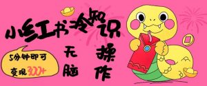 小红书冷知识账号，无脑复制粘贴，5分钟即可变现3张-E网资源