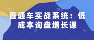 直通车实战系统：低成本询盘增长课，让个人通过技能实现升职加薪，让企业低成本获客，订单源源不断-E网资源