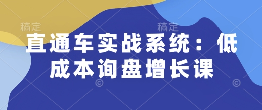 直通车实战系统：低成本询盘增长课，让个人通过技能实现升职加薪，让企业低成本获客，订单源源不断-E网资源