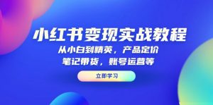 小红书变现实战教程：从小白到精英，产品定价，笔记带货，账号运营等-E网资源