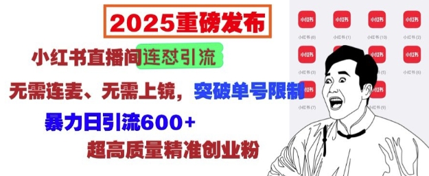 2025重磅发布：小红书直播间连怼引流，无需连麦、无需上镜，突破单号限制，暴力日引流600+-E网资源