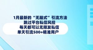1月最新的无脑式引流方法，跳过平台私信风控，每天都可以无限发私信，单天引流500+精准用户-E网资源