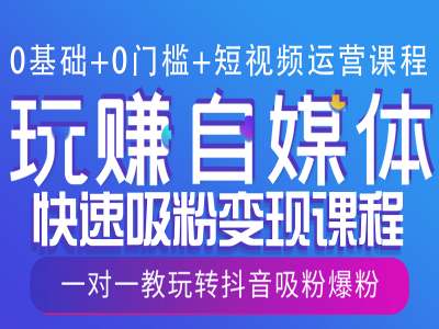 0基础+0门槛+短视频运营课程，玩赚自媒体快速吸粉变现课程，一对一教玩转抖音吸粉爆粉-E网资源