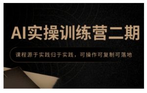 AI实操训练营二期，课程源于实践归于实践，可操作可复制可落地-E网资源