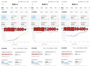 拼多多虚拟店铺项目，电脑挂机自动发货，单店日利润300+-E网资源