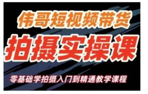 短视频带货拍摄实操课，零基础学拍摄入门到精通教学-E网资源