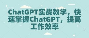 ChatGPT实战教学，快速掌握ChatGPT，提高工作效率-E网资源