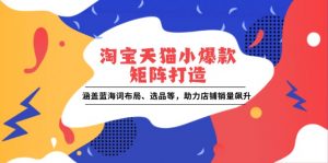 淘宝天猫小爆款矩阵打造:涵盖蓝海词布局、选品等,助力店铺销量飙升-E网资源