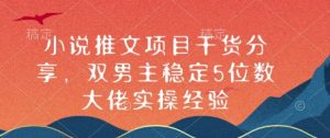 小说推文项目干货分享，双男主稳定5位数大佬实操经验-E网资源