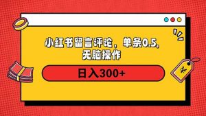 小红书评论单条0.5元，日入300＋，无上限，详细操作流程-E网资源