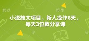 小说推文项目，新人操作6天，每天3位数分享课-E网资源