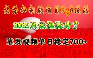 京东红利项目3.0玩法,2025只做他就对了,靠发视频单日稳定700+-E网资源