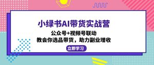 小绿书AI带货实战营：公众号+视频号联动，教会你选品带货，助力副业增收-E网资源
