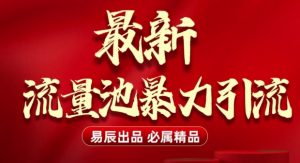 最新“流量池”无门槛暴力引流(全网首发)日引500+-E网资源