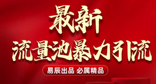 最新“流量池”无门槛暴力引流(全网首发)日引500+-E网资源