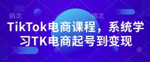 TikTok电商课程，​系统学习TK电商起号到变现-E网资源