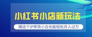 小红书小店新玩法，蹭这个IP带货，小白也能轻松月入过W【揭秘】-E网资源
