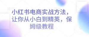小红书电商实战方法，让你从小白到精英，保姆级教程-E网资源