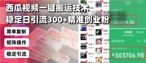 西瓜视频一键搬运技术,稳定日引流300+精准创业粉,简单可复制给团队,...-E网资源