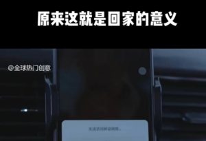 利用春节风口，制作热点视频，多种玩法类型，新手也能轻松变现！-E网资源