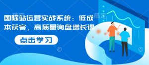 国际站运营实战系统:低成本获客,高质量询盘增长课-E网资源