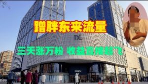 蹭胖东来流量，三天涨万粉，收益直接起飞-E网资源
