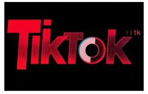 TikTok ads投流秘籍，涵盖tiktok整体投放思路，教你搭建测试计划-E网资源