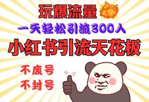 小红书引流天花板，玩爆流量，一天轻松引流300人，安全操作-E网资源
