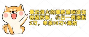 最近很火的爆款猫咪做饭视频拆解，小白一周涨粉2万，单条10万+播放(附保姆级教程)-E网资源
