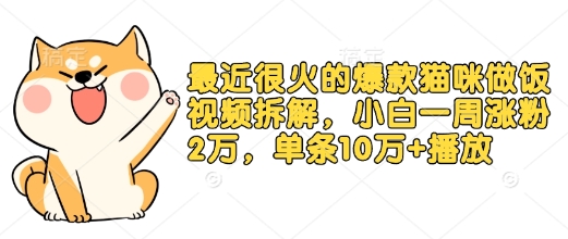 最近很火的爆款猫咪做饭视频拆解，小白一周涨粉2万，单条10万+播放(附保姆级教程)-E网资源