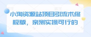 小淘资源站项目引流术终极版，亲测实操可行的-E网资源