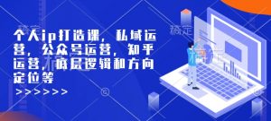 个人ip打造课，私域运营，公众号运营，知乎运营，底层逻辑和方向定位等-E网资源
