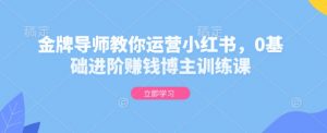 金牌导师教你运营小红书，0基础进阶赚钱博主训练课-E网资源