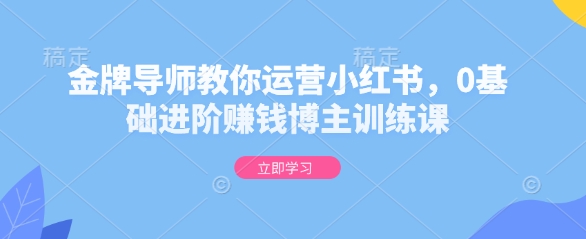 金牌导师教你运营小红书，0基础进阶赚钱博主训练课-E网资源
